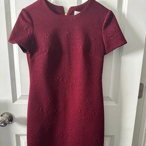 Calvin Klein short sleeve sheath Dress Size 2P